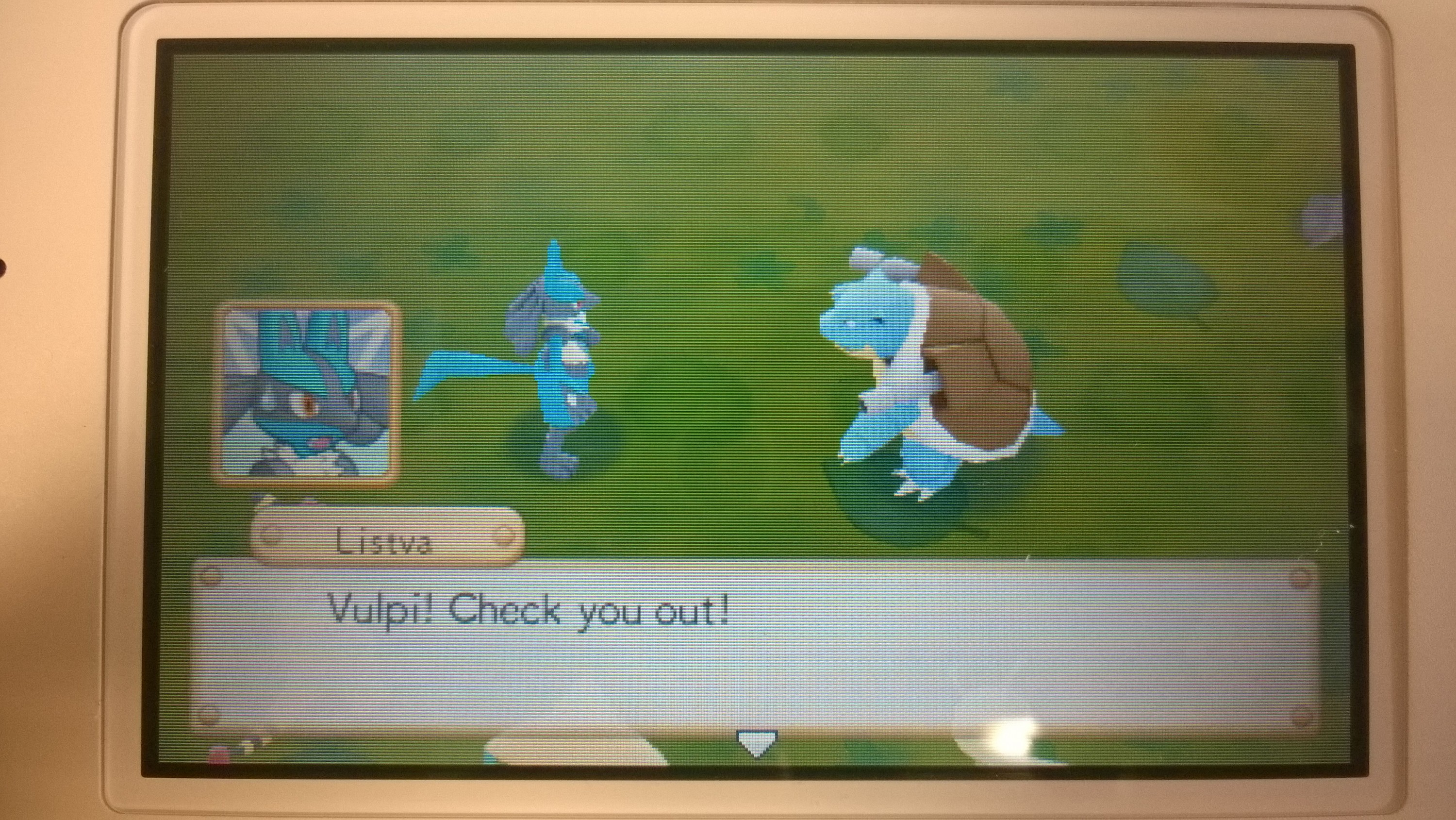 WP_20160202_12_00_23_Pro