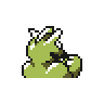 machamp