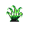 oddish