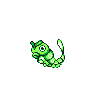 caterpie