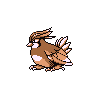 pidgeotto