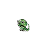 caterpie