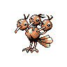 dodrio