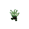 oddish