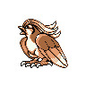 pidgeot