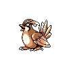 pidgeotto