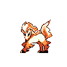 ponyta