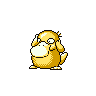 psyduck
