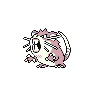 raticate