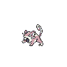rattata