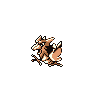 spearow