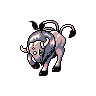 tauros