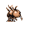 dodrio