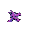 aerodactyl