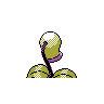 bellsprout