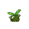 hoppip