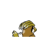 pidgeotto