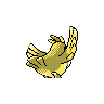 pidgey