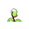 bellsprout