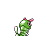 caterpie