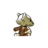 marowak