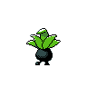 oddish