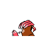 pidgeotto