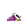 raikou