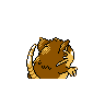 raticate