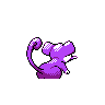 rattata