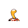 shuckle