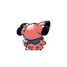 snubbull