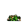 spinarak