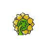 sunflora