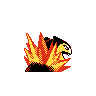 typhlosion