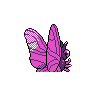 venomoth