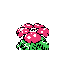 venusaur