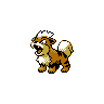 growlithe
