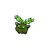 hoppip