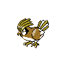 pidgeotto