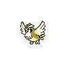 pidgey