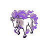 rapidash