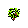 tangela