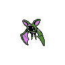 zubat