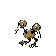 doduo
