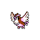 pidgey