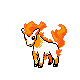 ponyta