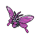 venomoth