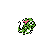 caterpie