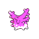corsola